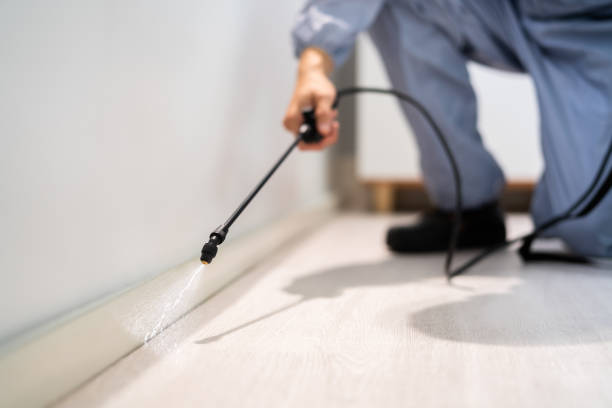Licensed Cockroach Control service in New Orleans, LA - Nex Pest Control