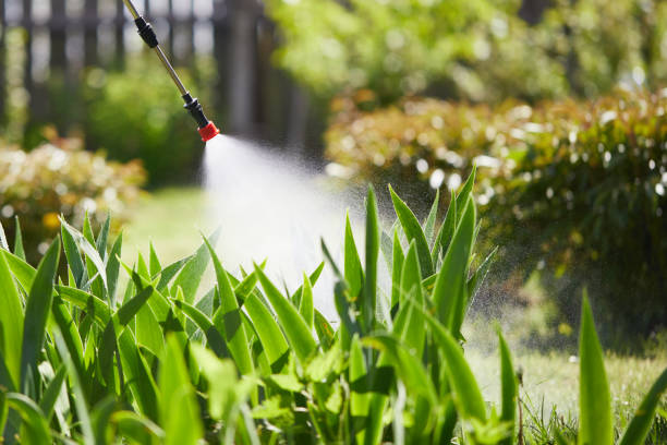 24/7 Emergency Cockroach Control experts in New Orleans, LA
