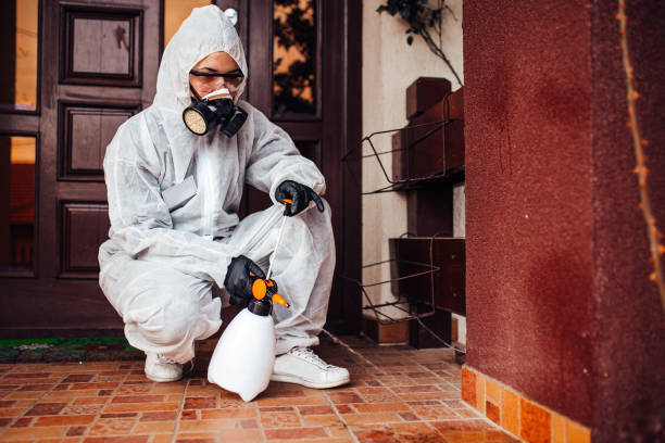 Reliable Cockroach Control contractor in New Orleans, LA by Nex Pest Control