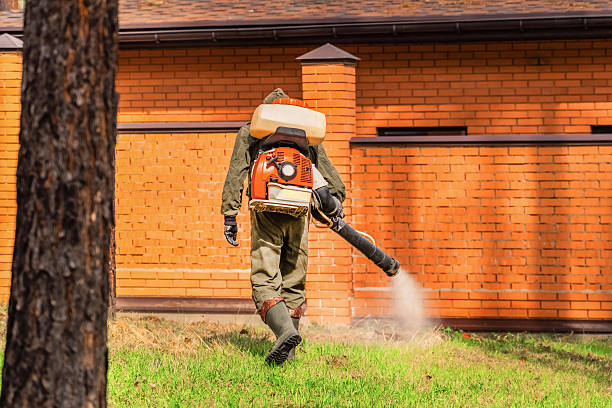 Trusted Cockroach Control service in New Orleans, LA - Nex Pest Control